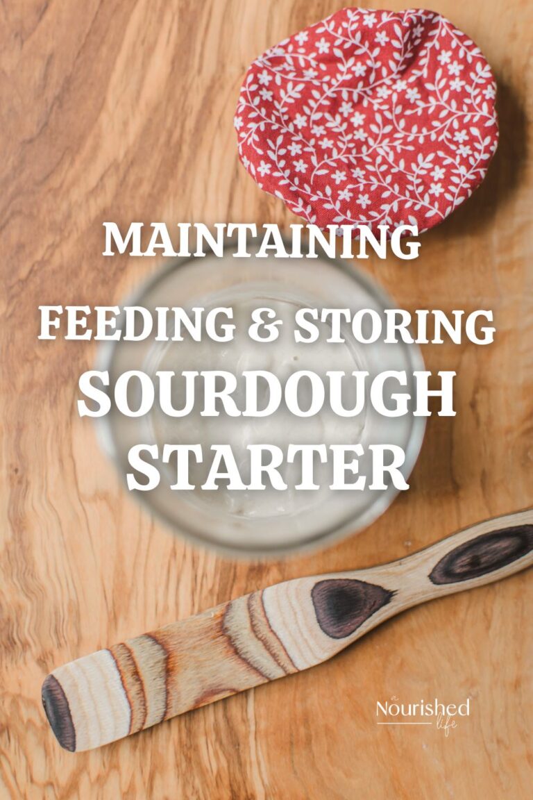 Maintaining, Feeding, and Storing a Sourdough Starter