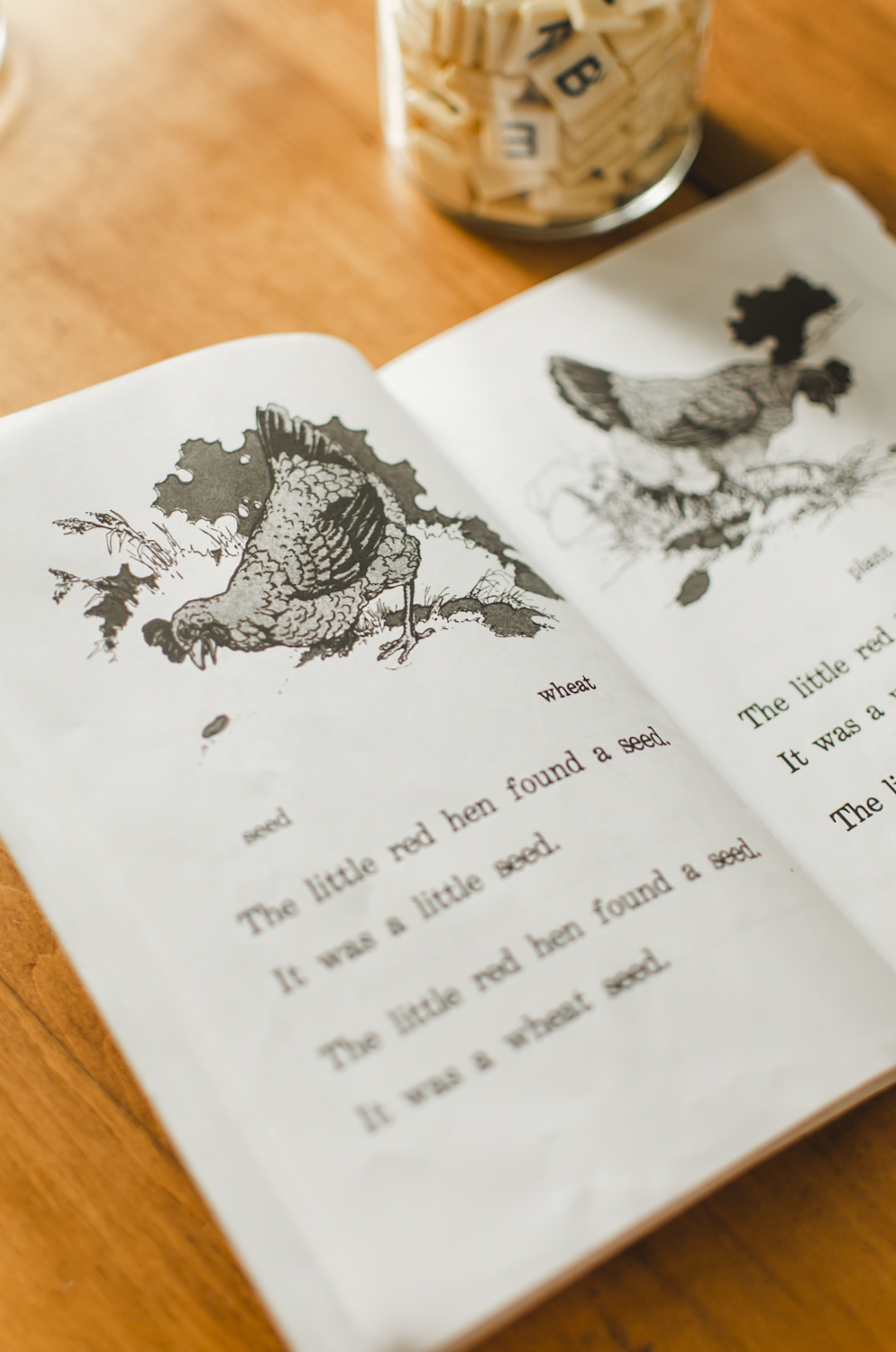 reader opened up to the little red hen story